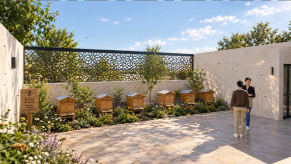 terrasse 2